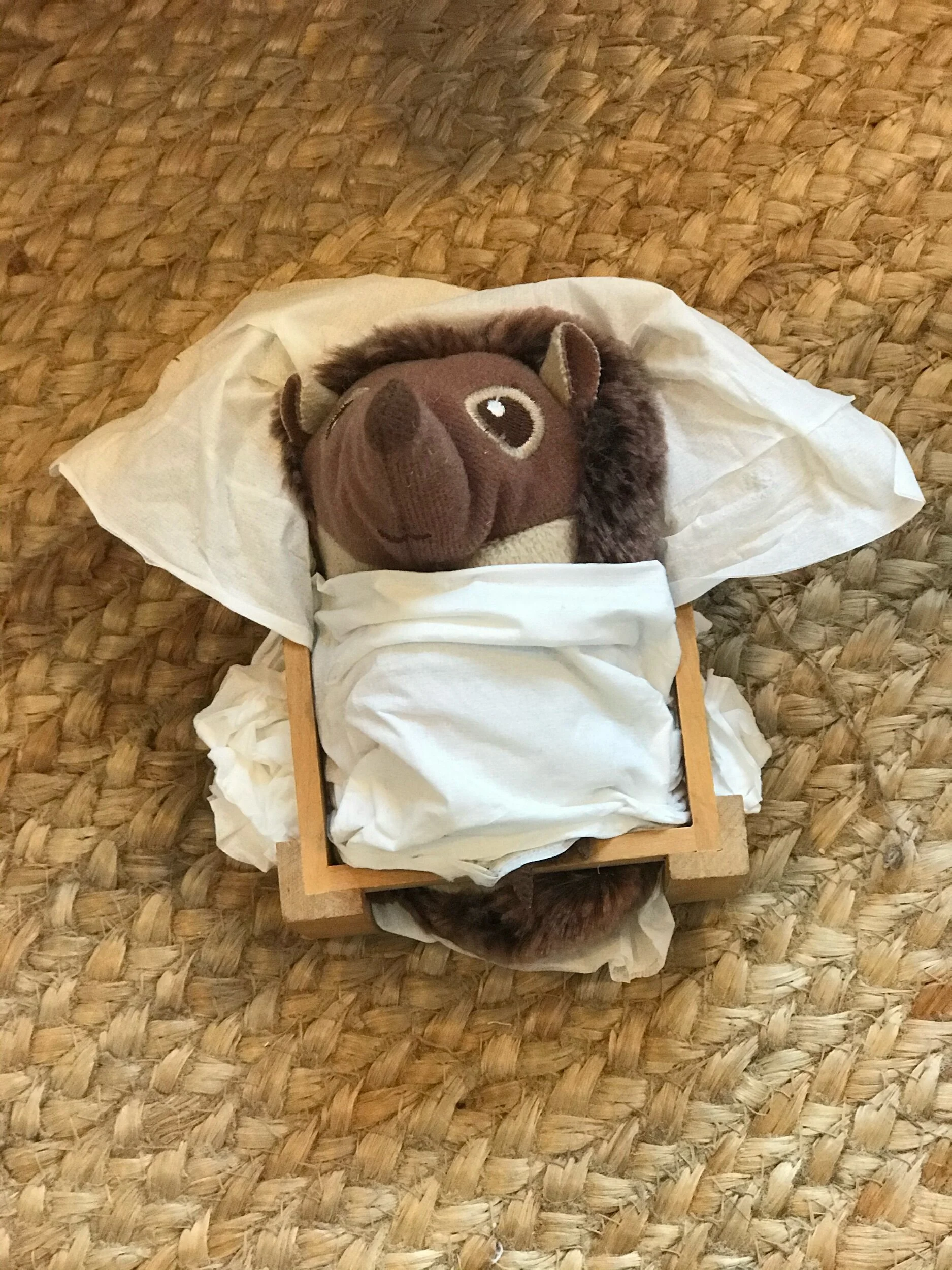 Feel better hedgehog! 