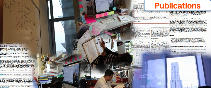 Home Publications Banner.png