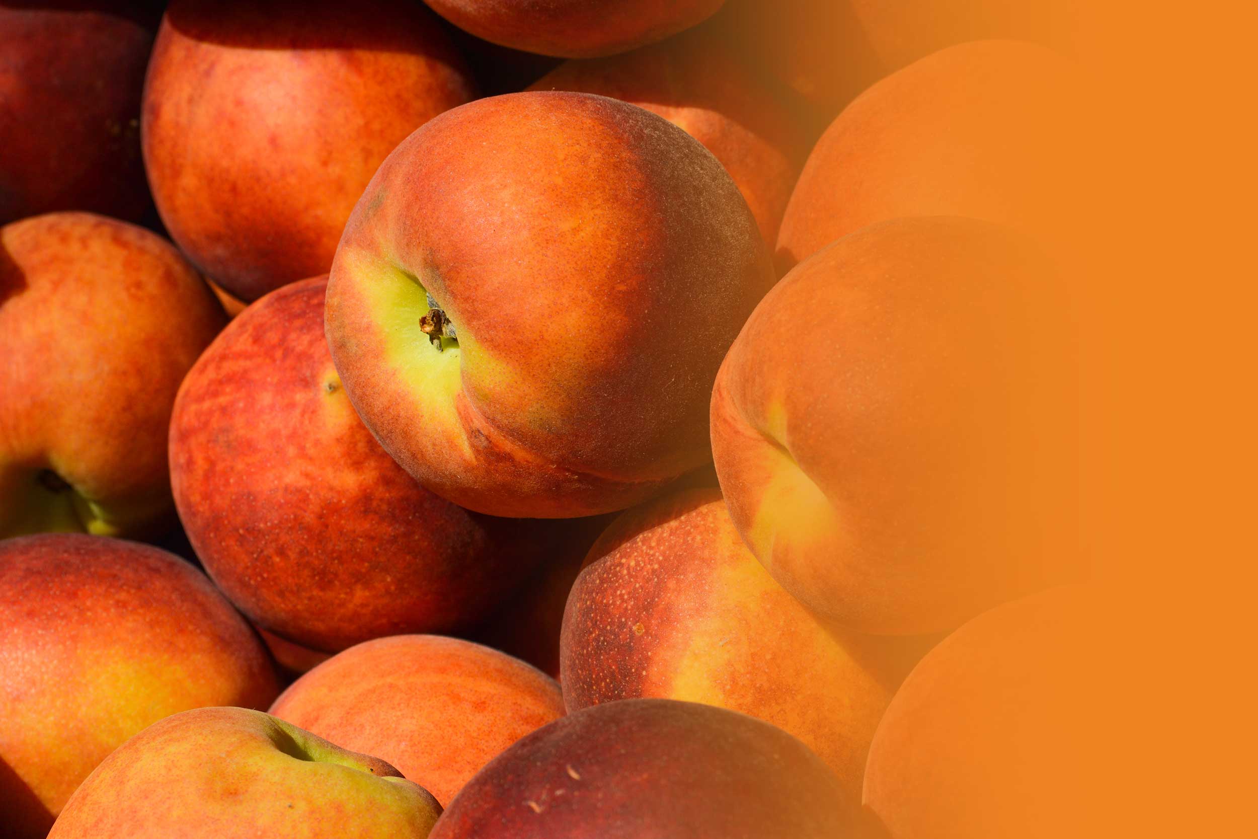 peaches.jpg