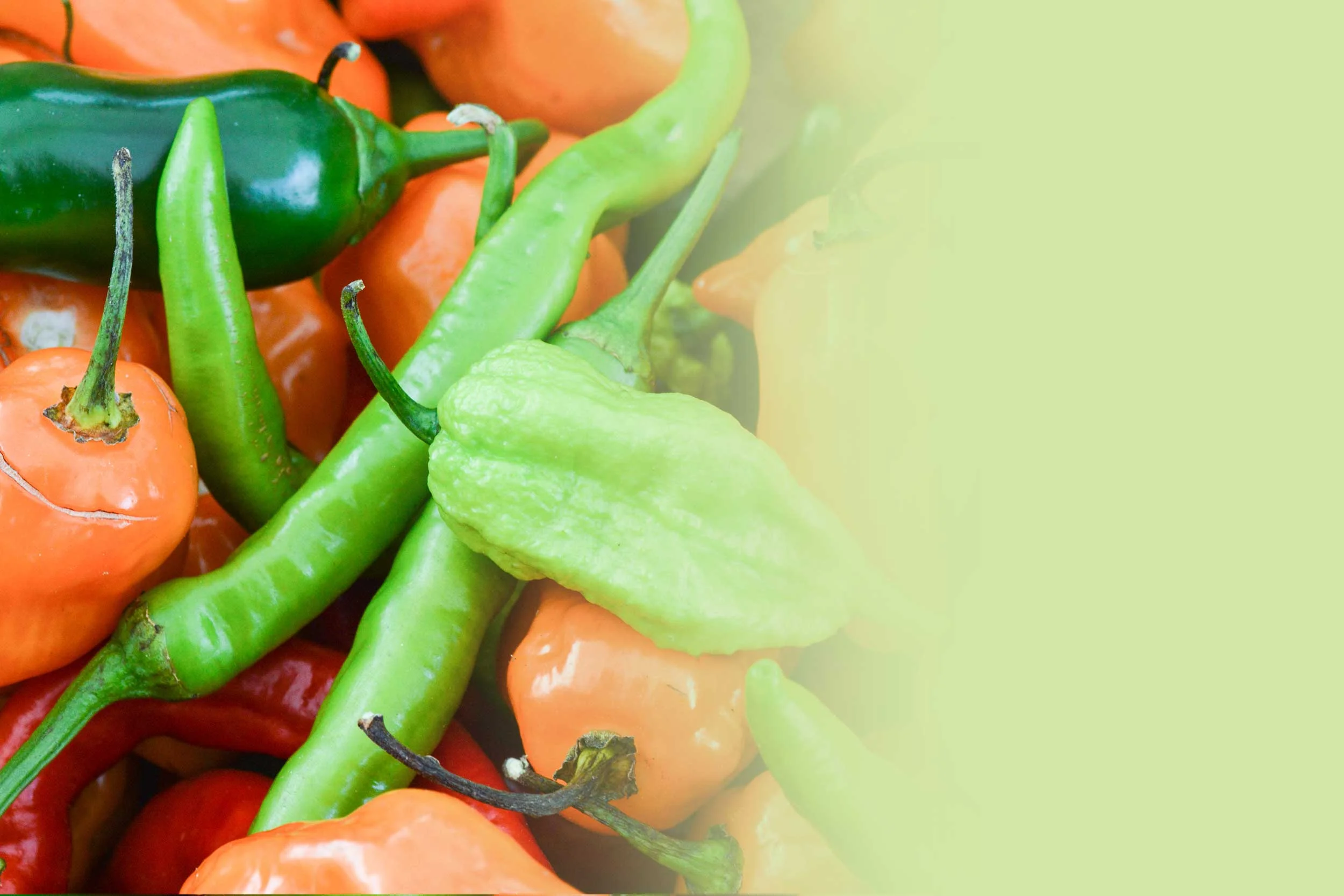 peppers2.jpg