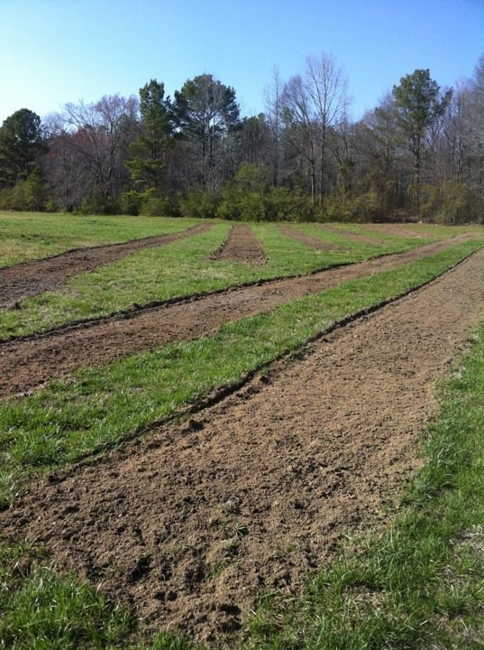 Morning Glory Farms- plowed fields.jpg