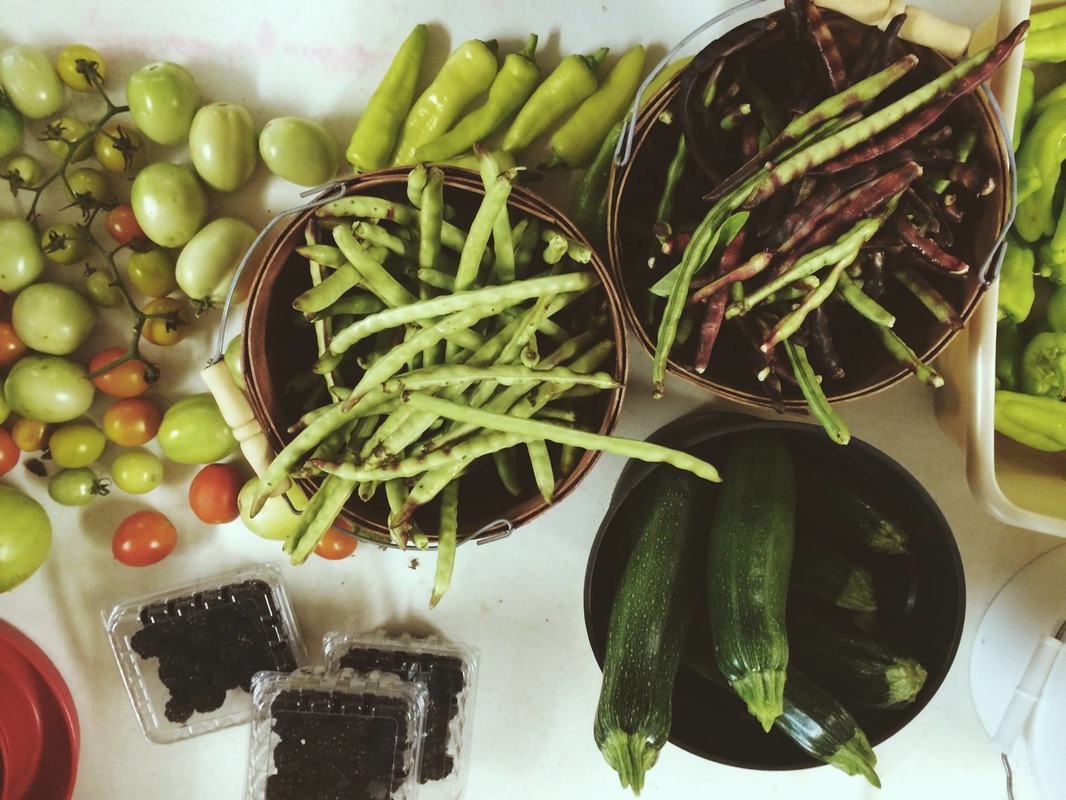 Morning Glory ready for market .jpg