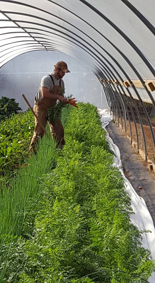 spreading oaks jason in greenhouse.jpg