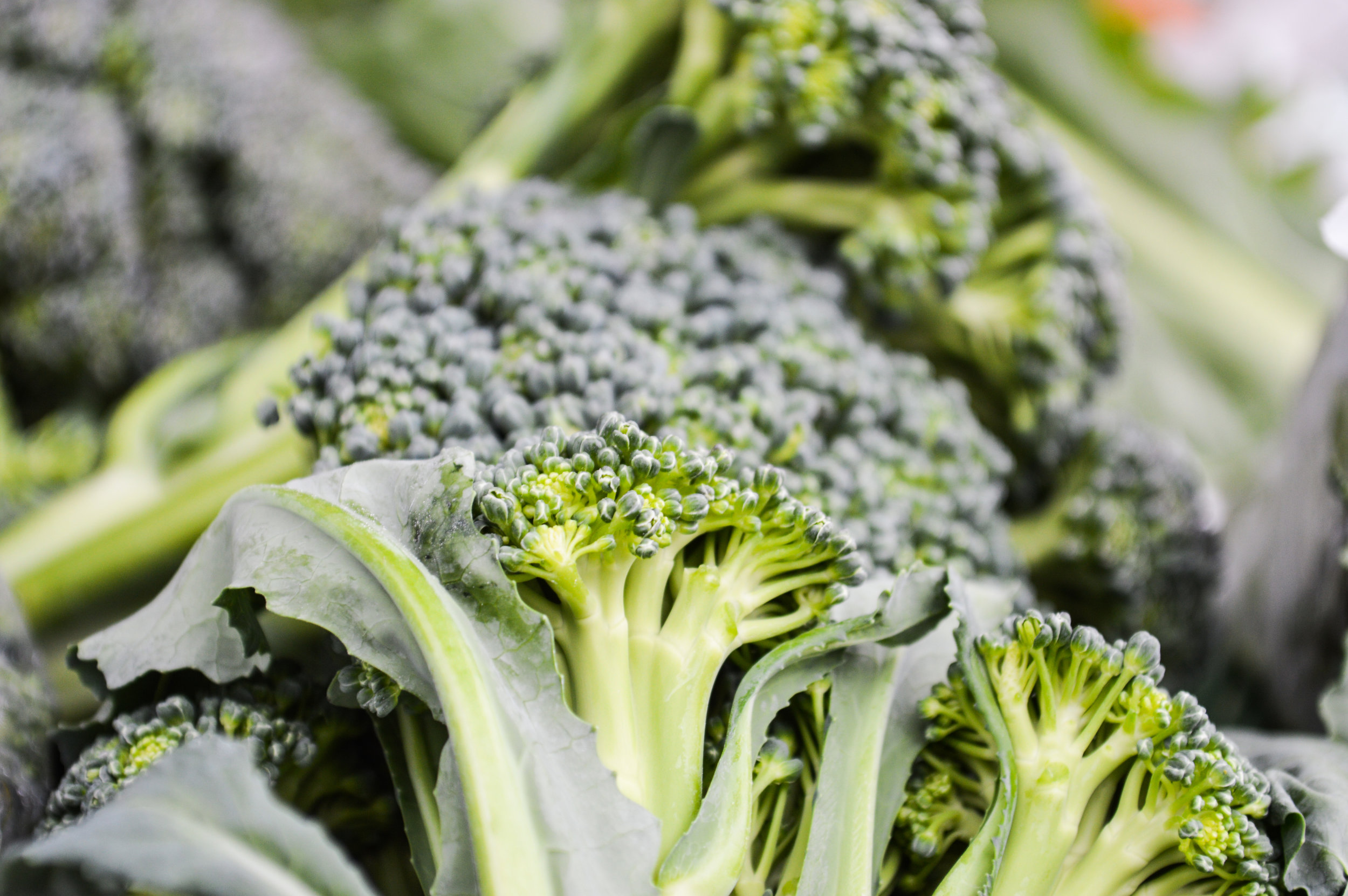 Beautiful broccoli