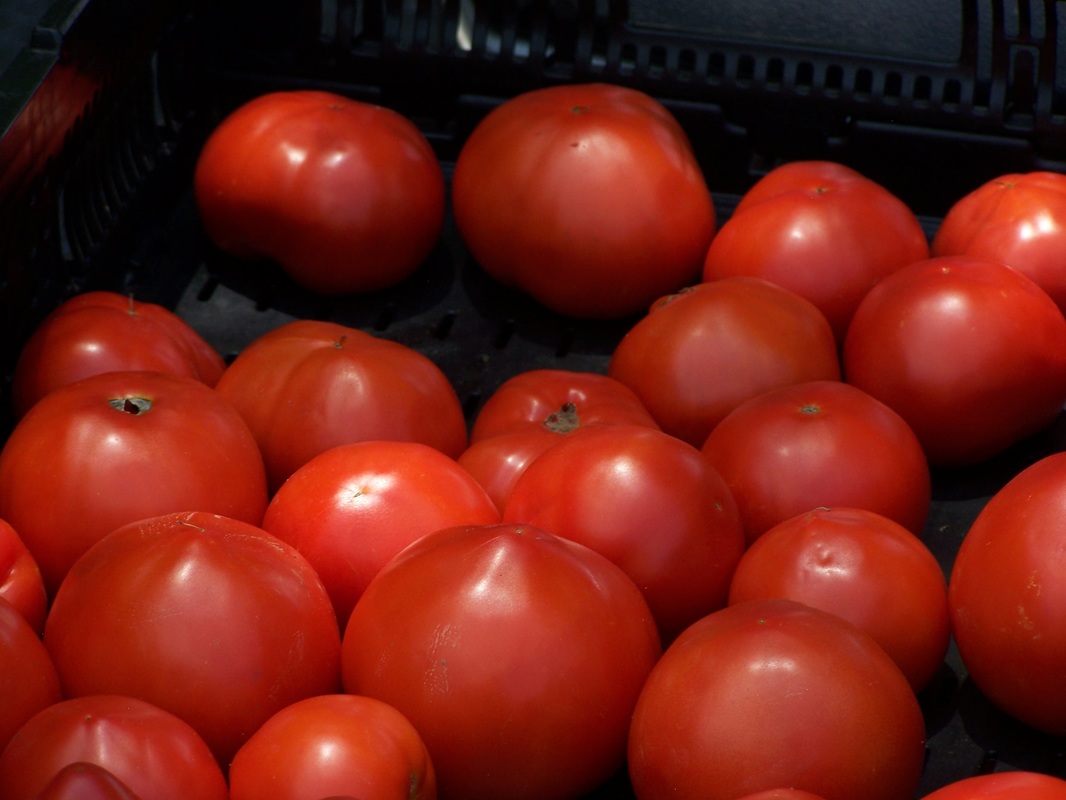 RFM is a Producer-Only Market