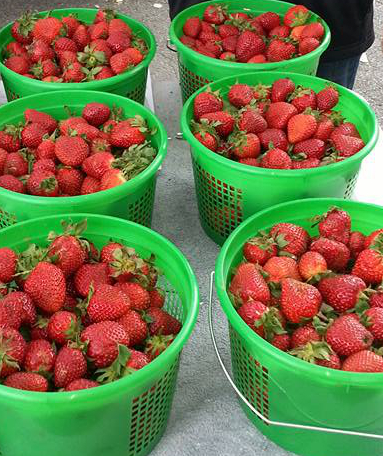 Market Preview April 12, 2018- Every Thursday 2-6pm Downtown Rockmart