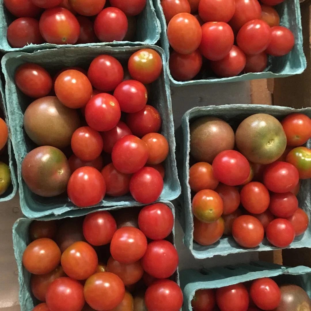 Market Preview June 28 - Every Thursday 2-6pm - Downtown Rockmart