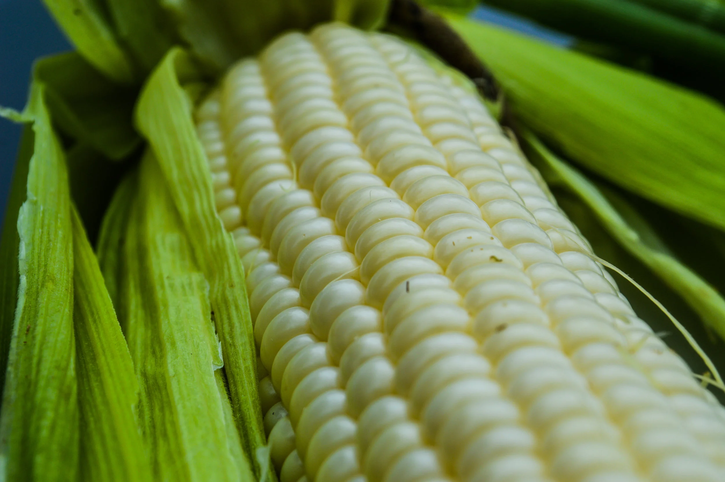 Velmon Corn.jpg