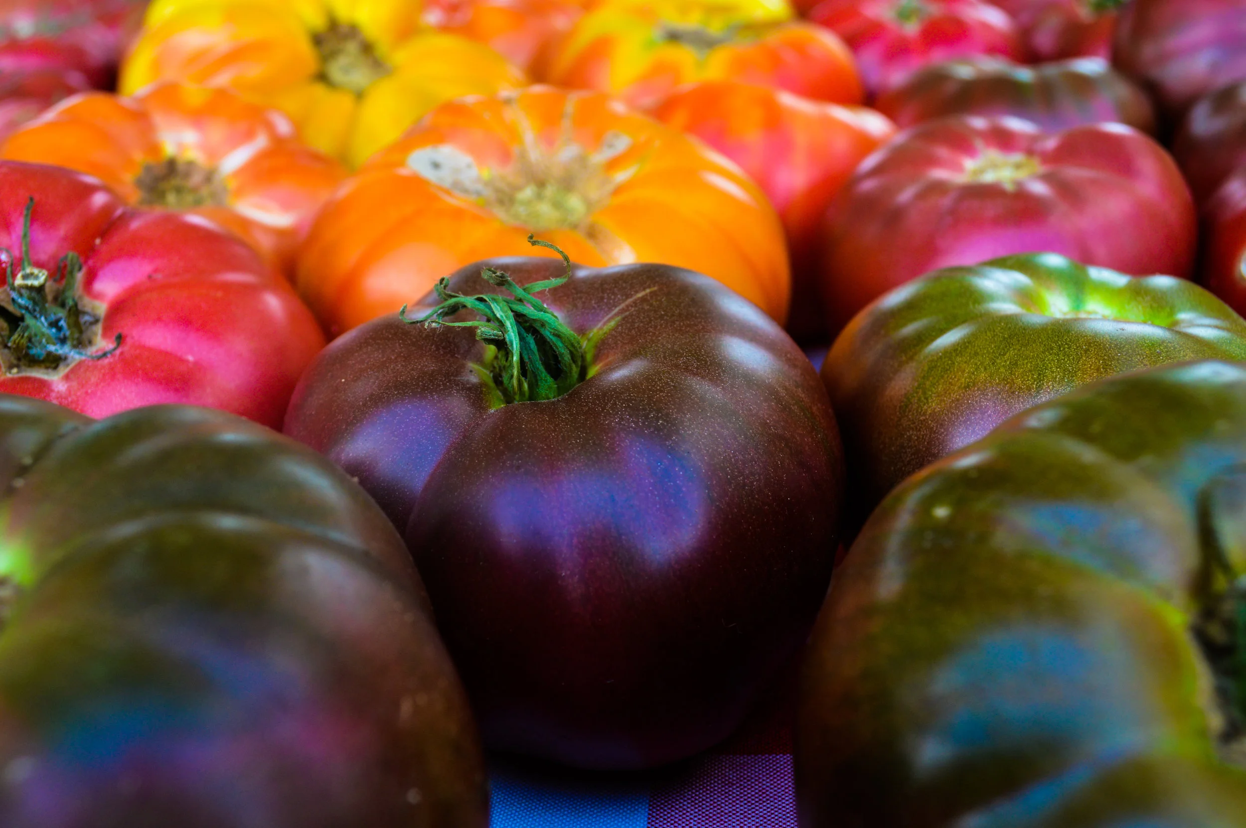 Market Preview July 26 - Every Thursday 2-6pm - Downtown Rockmart