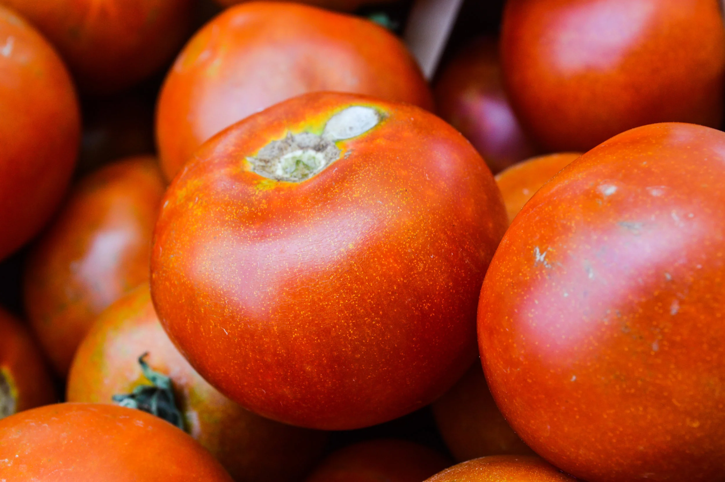 Market Preview - August 2 - Every Thursday 2-6pm Downtown Rockmart