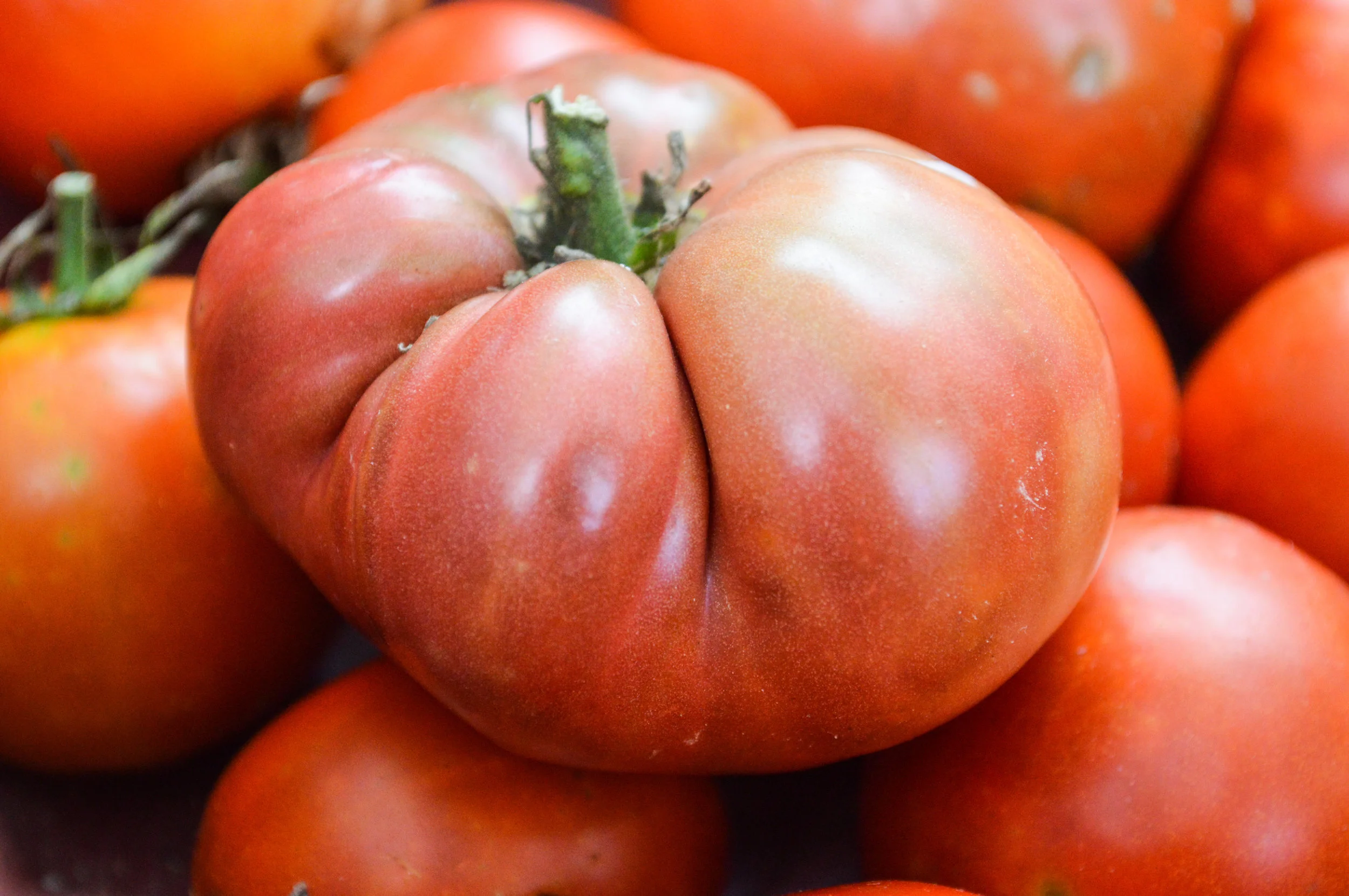 Market Preview August 9 - Every Thursday 2-6pm in Downtown Rockmart