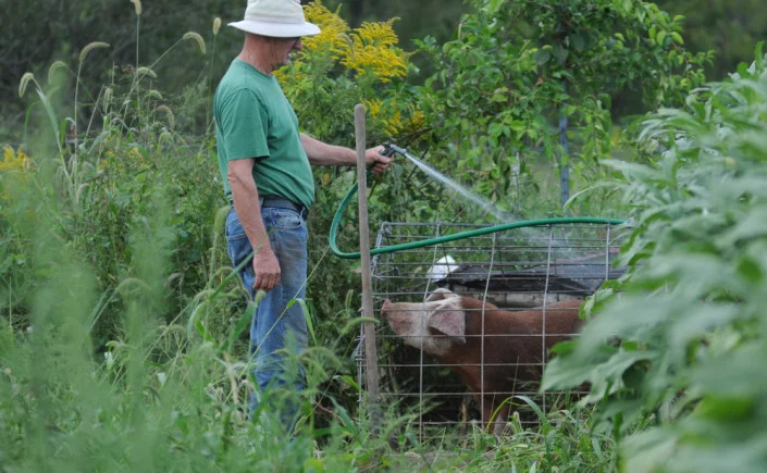 Pulled Pork: Mobile Housing for Pigs , March 13, 2019 Join us to learn about innovative, front-moving livestock pens for pigs and how they are used for soil breaking, fertility and pest controls. Our presenters are Homer Walden and his wife Dru Peters of Sunnyside Farm in Pennsylvania. Watch Recording or Download Slides