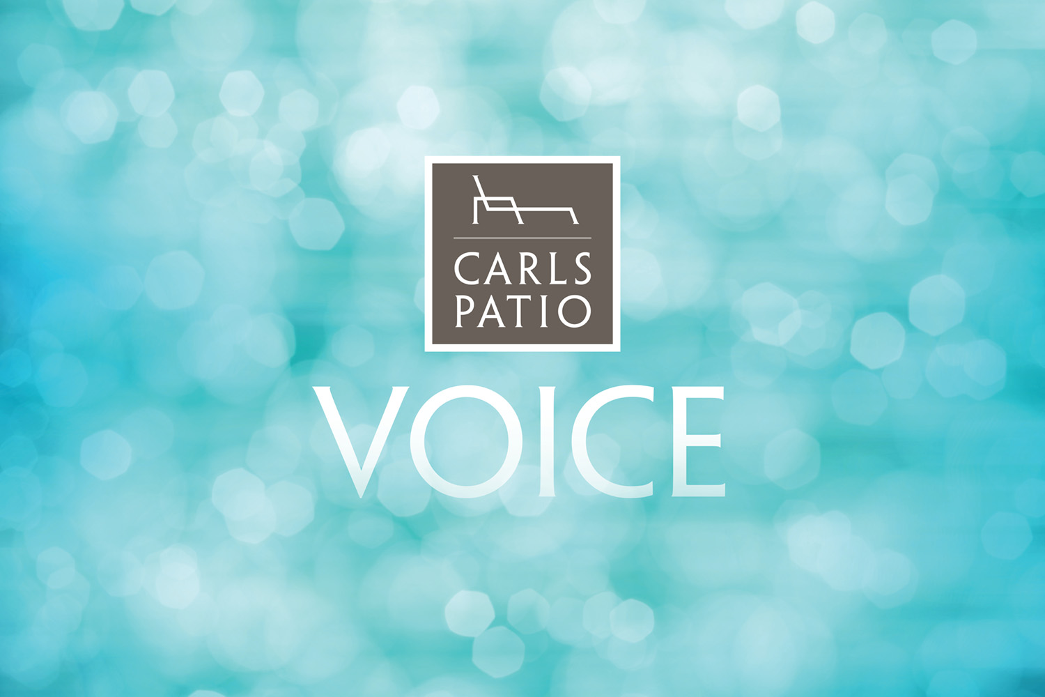 CARLS PATIO-mission-voice-MANIFESTO10.jpg