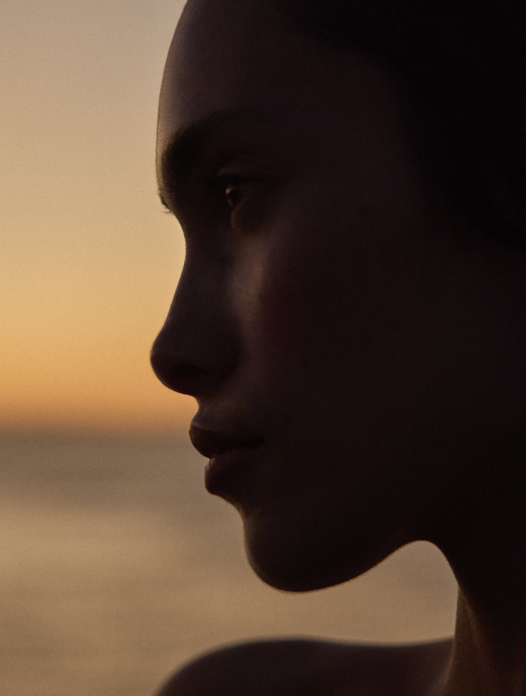 Screen Shot 2024-05-24 at 12.00.34 PM.png