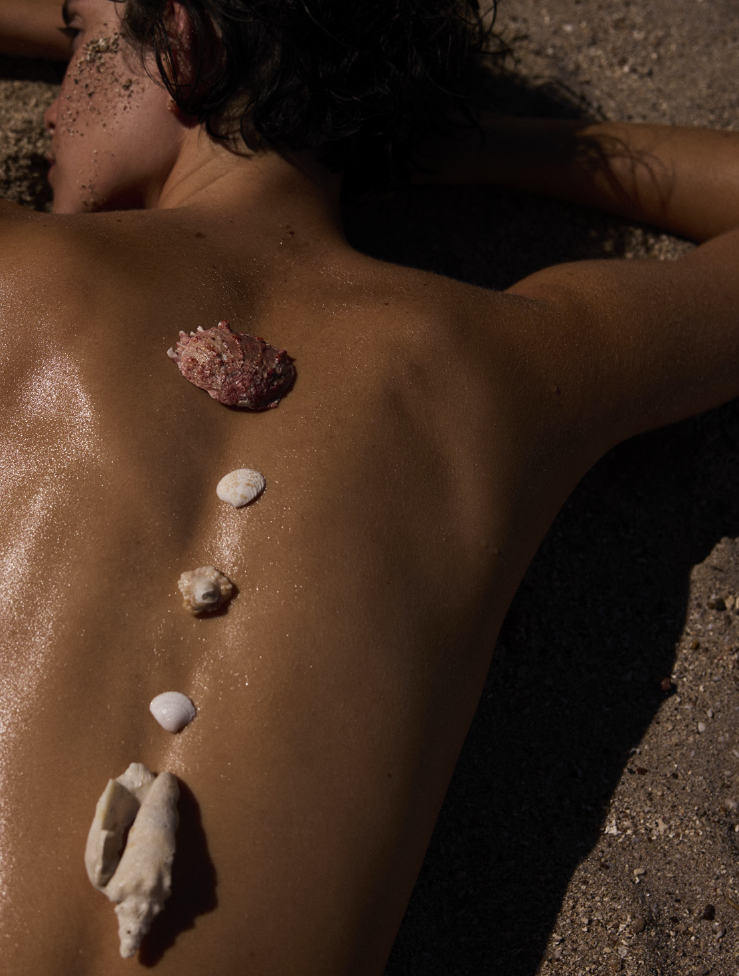 Screen Shot 2024-05-24 at 12.27.57 PM.png