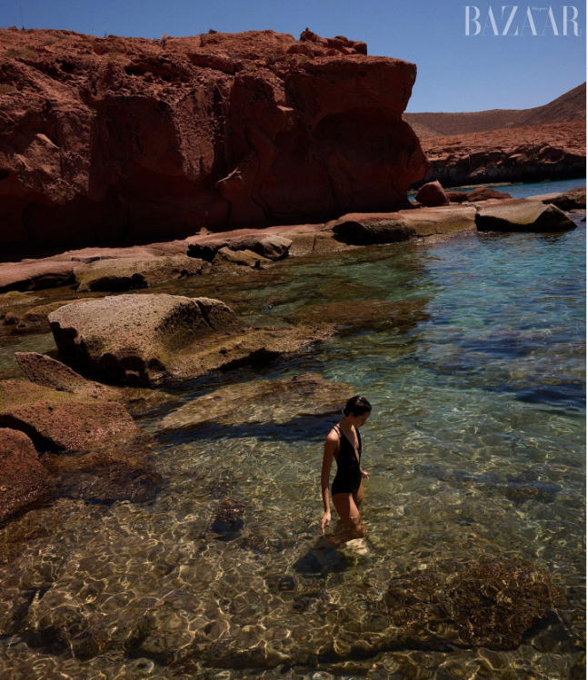 Screen Shot 2024-05-30 at 9.26.44 AM.png