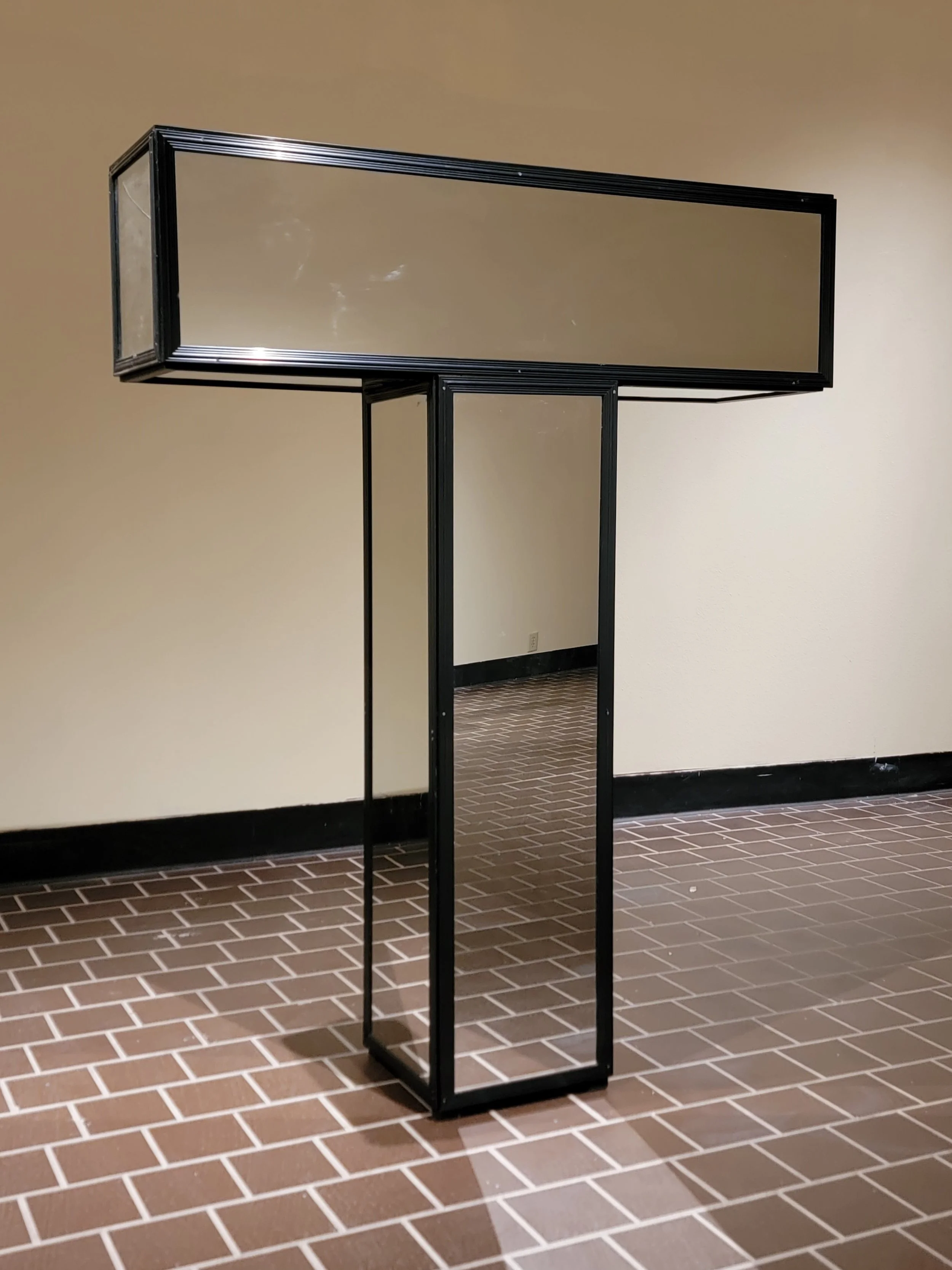 T Mirrors.jpg