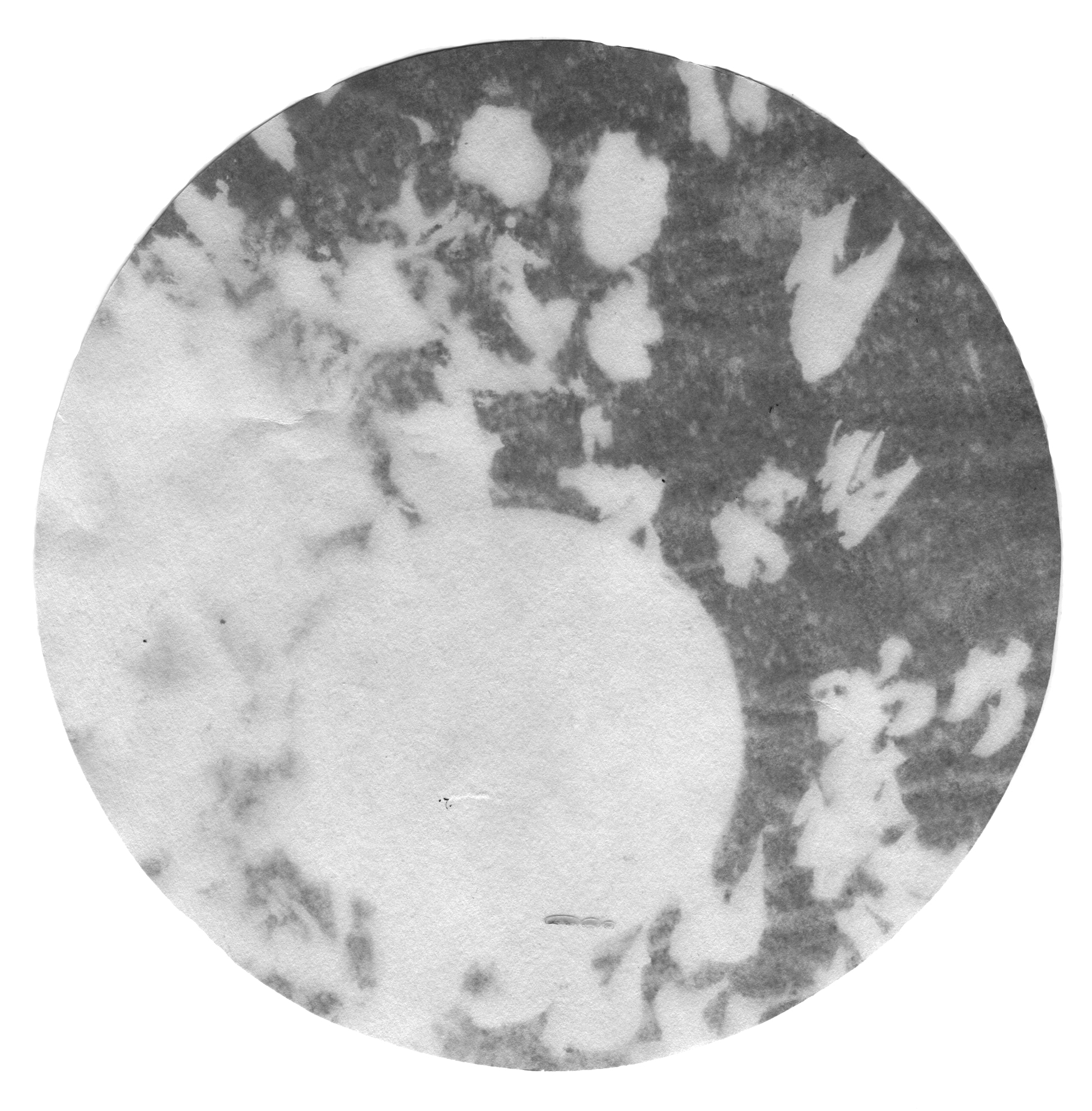 Scan 27.jpg