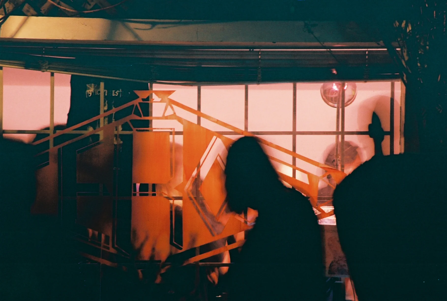 Catherine Sinow.jpeg