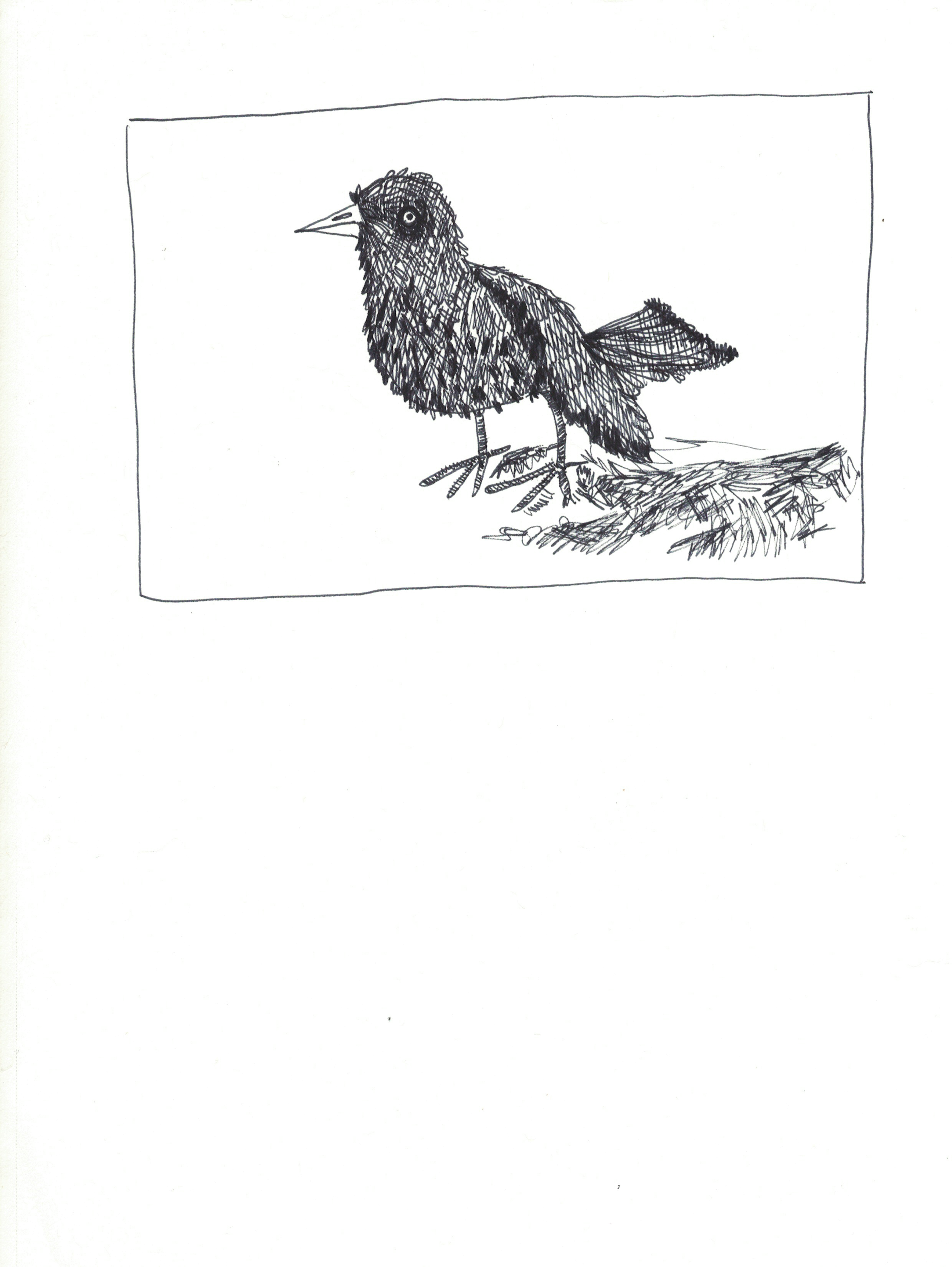 Written by Lloyd Miner Art by Dakota Peterson Lloyd Miner is a writer currently living in Amsterdam. Originally from the U.S., he has degree in Film Studies from Columbia University. He writes prose and poetry and sometimes a combination of the two.