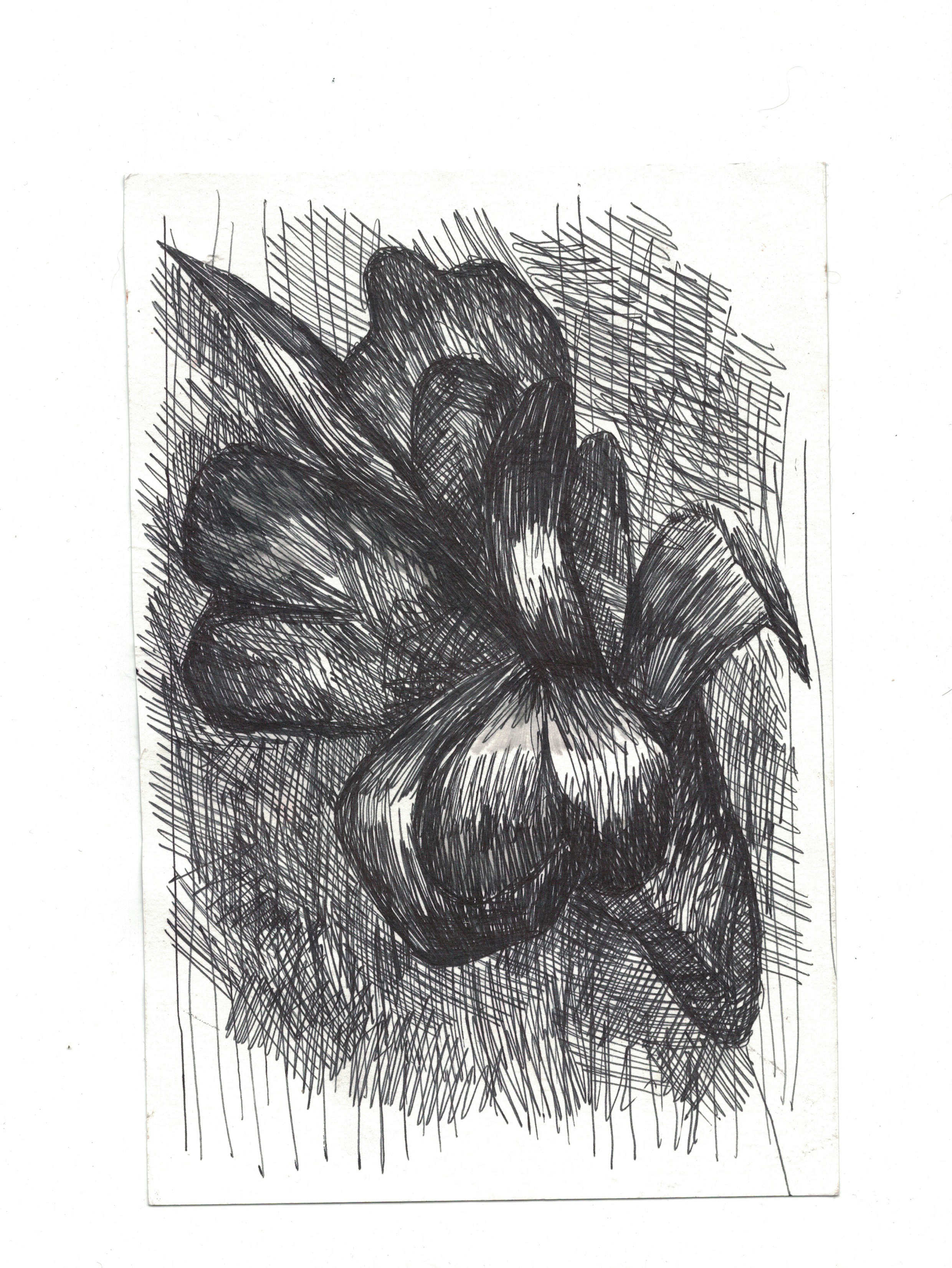 scan12.png