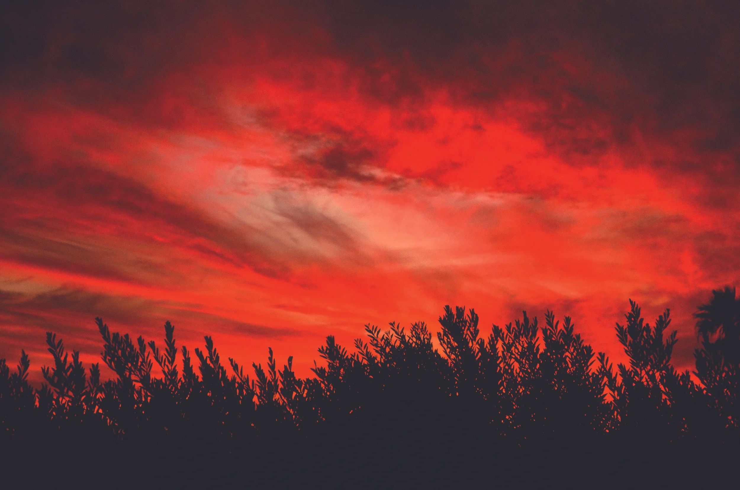 Letter to the Editor: Heat