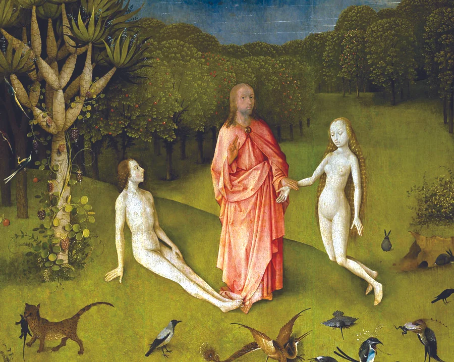 Bosch 1.jpg