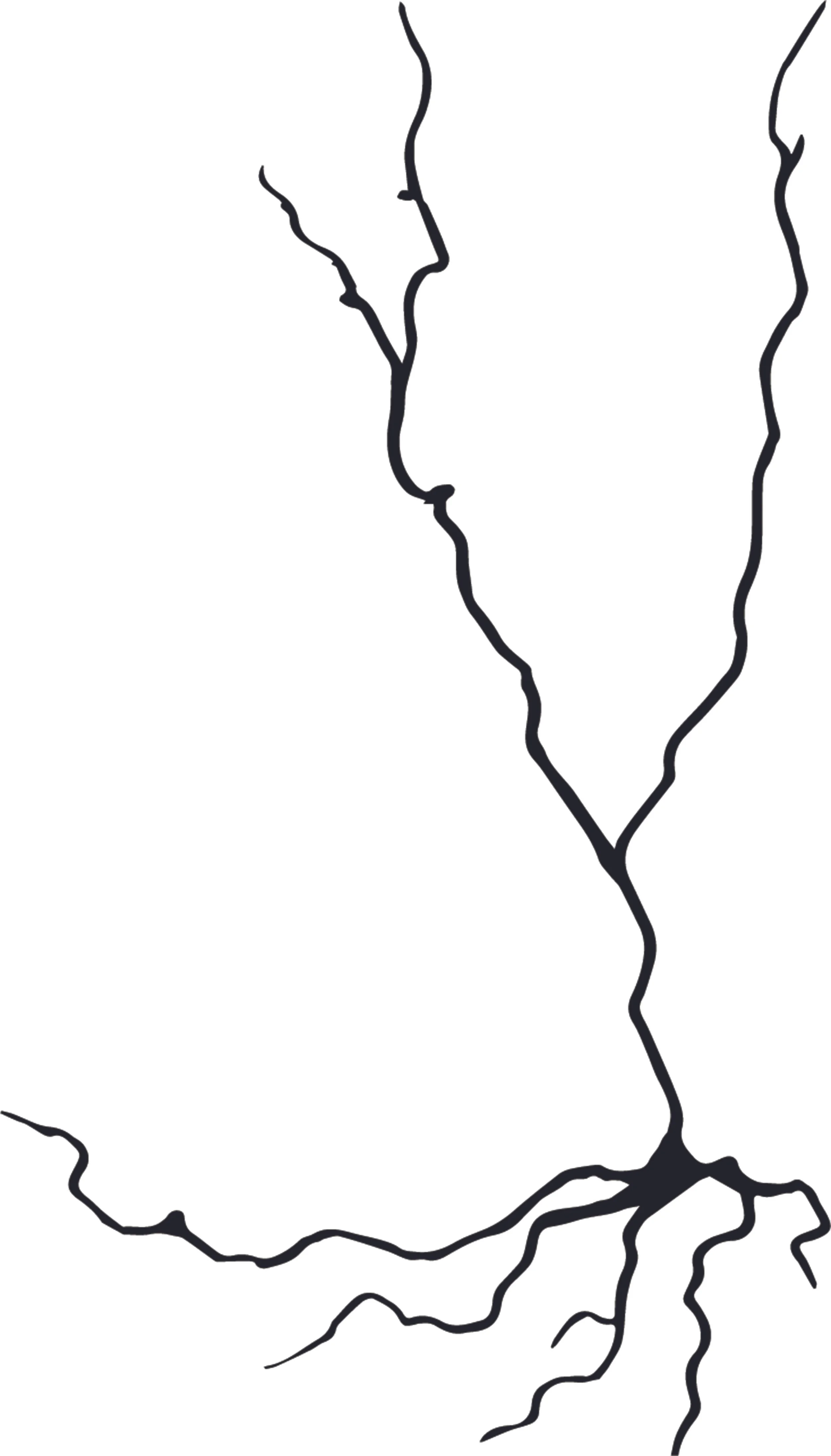 Knerr1.jpg