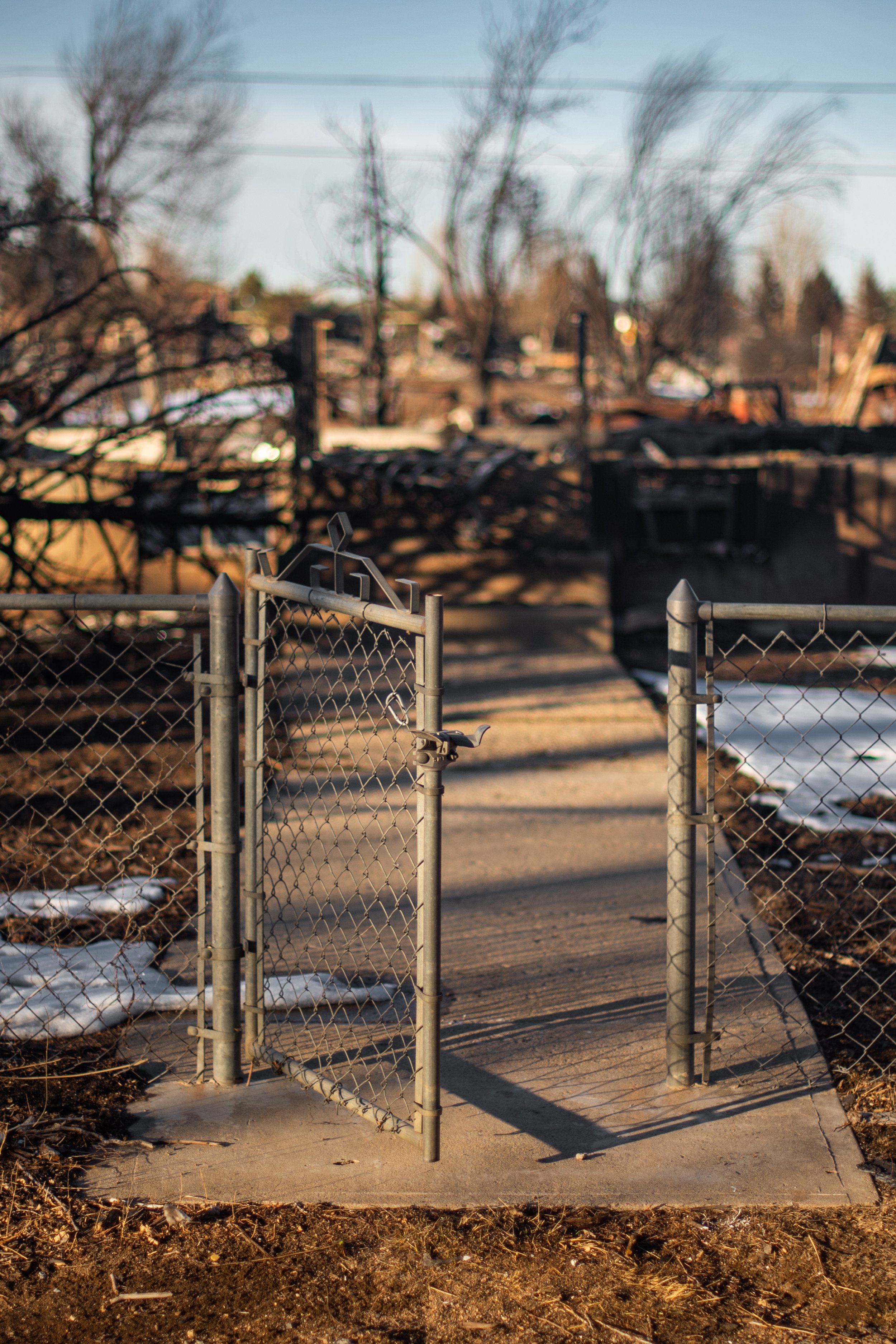 Real Issue Cover - Sutton Lynch.jpg