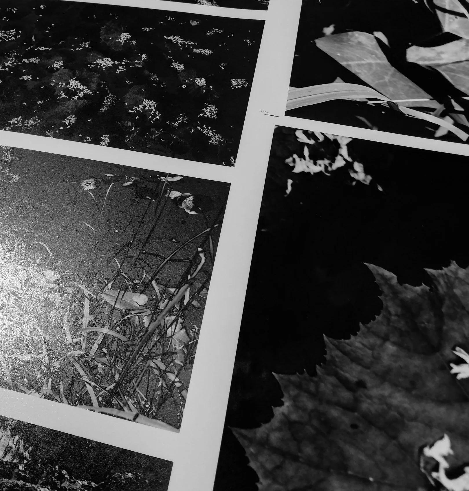 The Cult of Rifo — print preparation and photographic work, 31