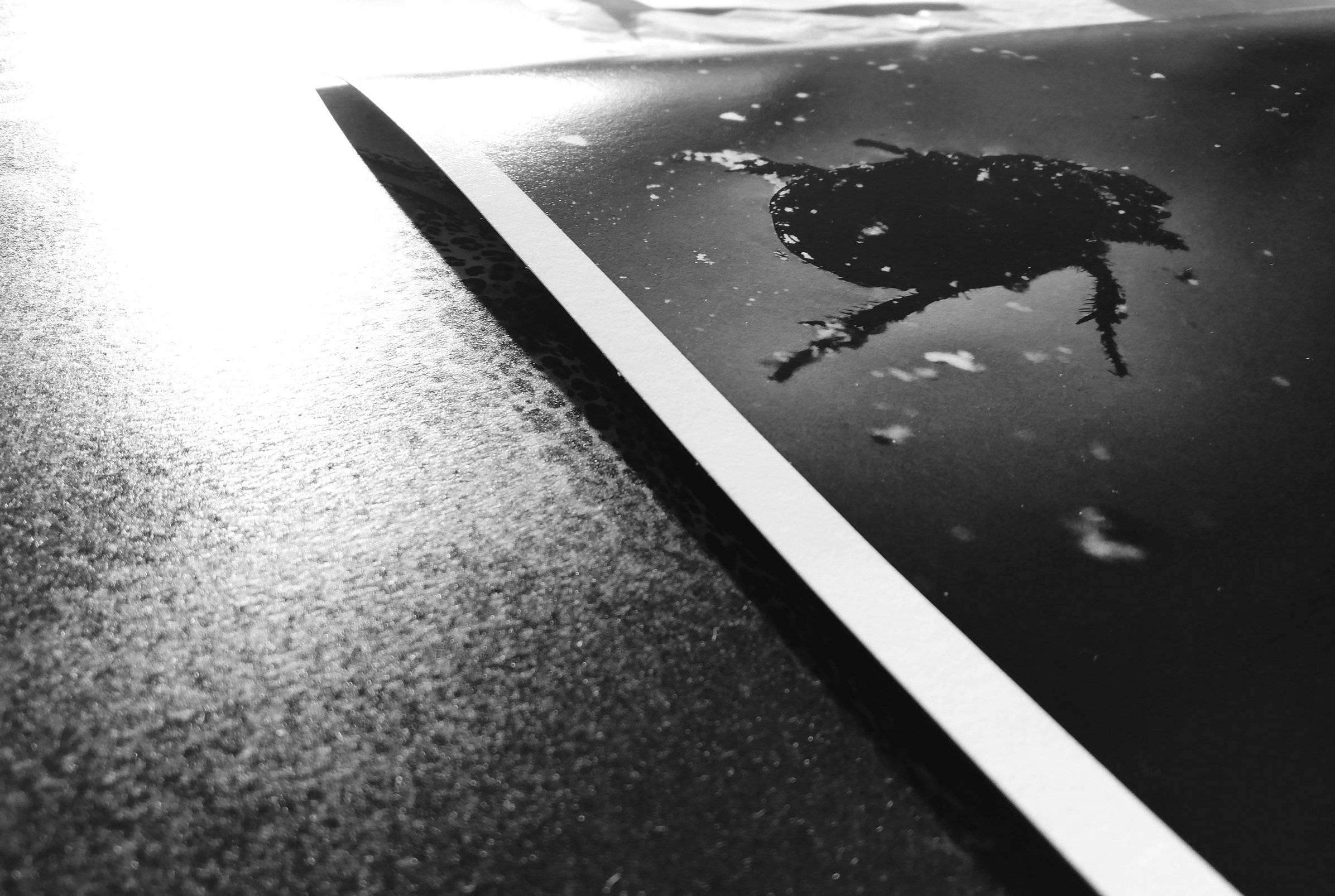 The Cult of Rifo — print preparation and photographic work, 26