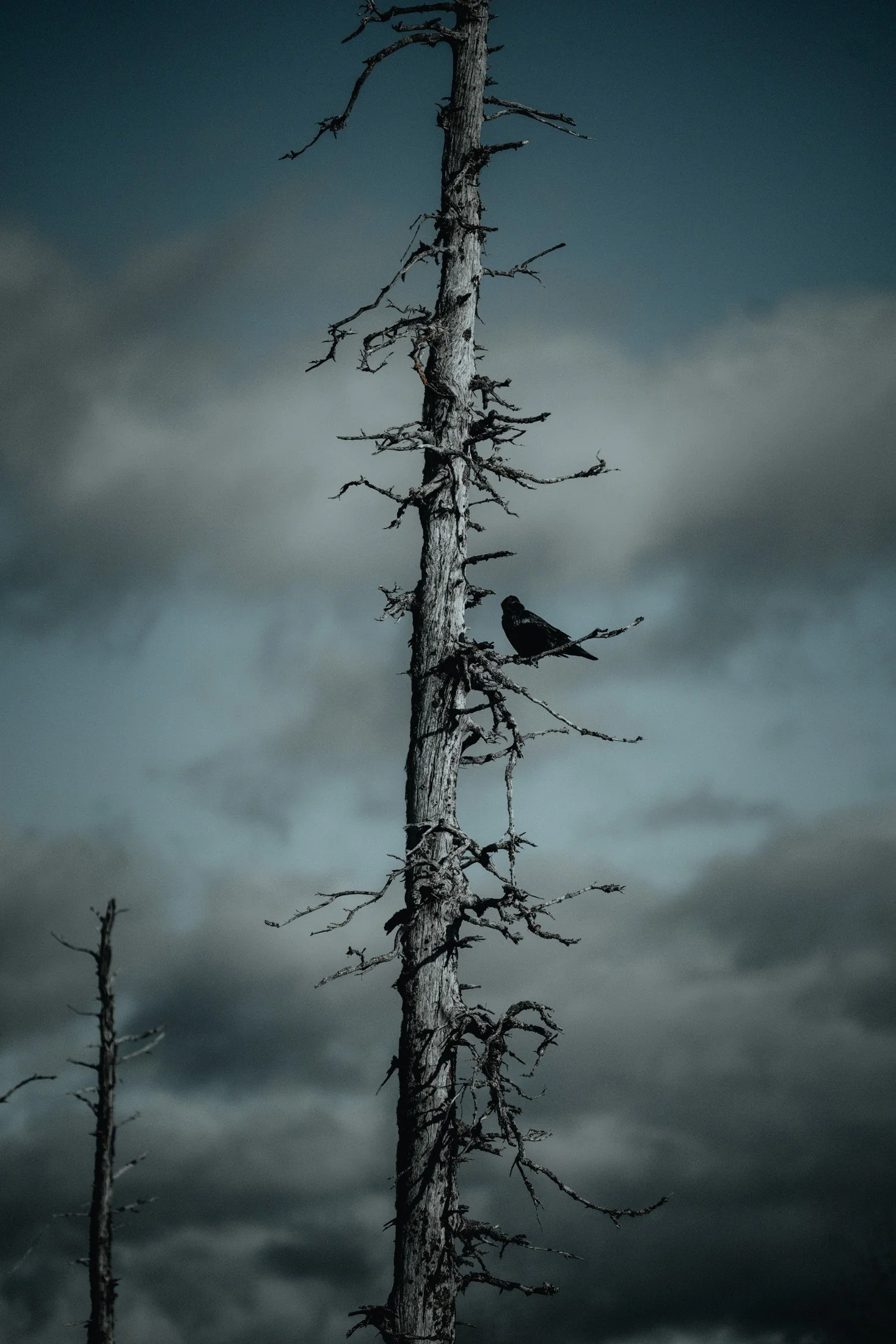 Alaska — photograph 6