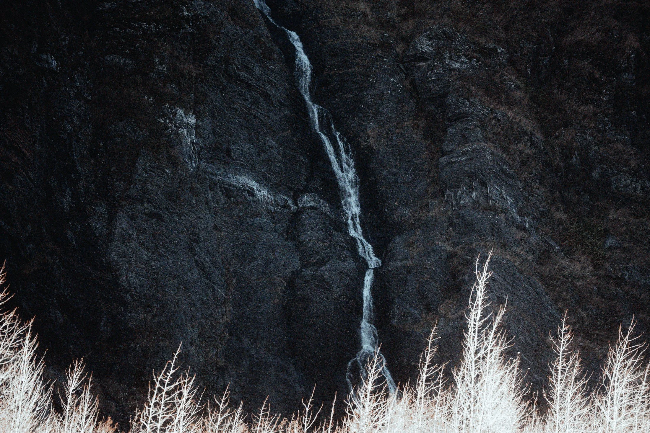 Alaska — photograph 10