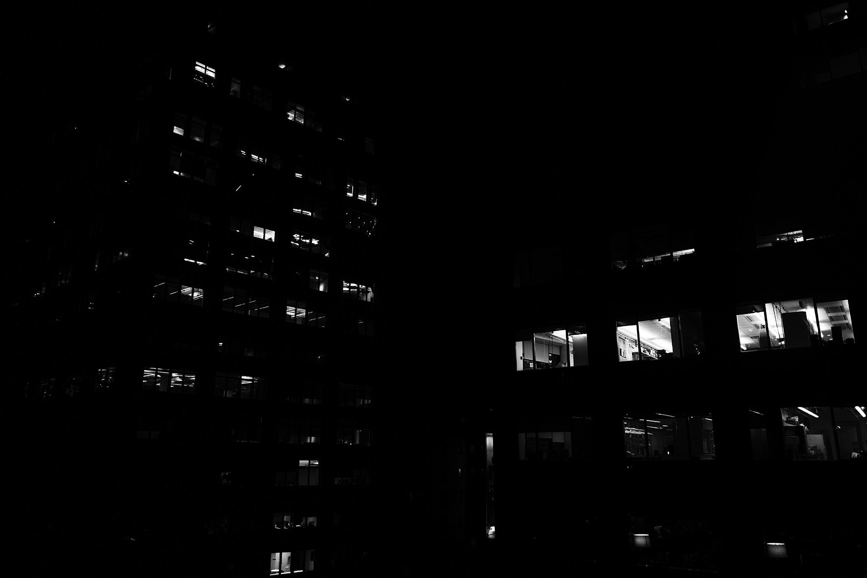 NEW YORK CITY — FIELD NOTES — photograph 4