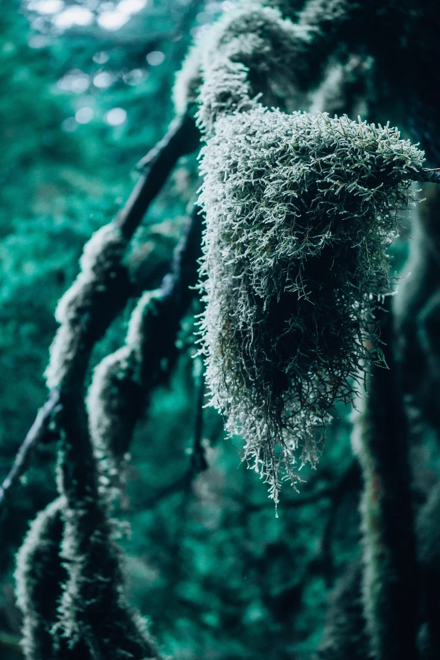 Alaska — photograph 9