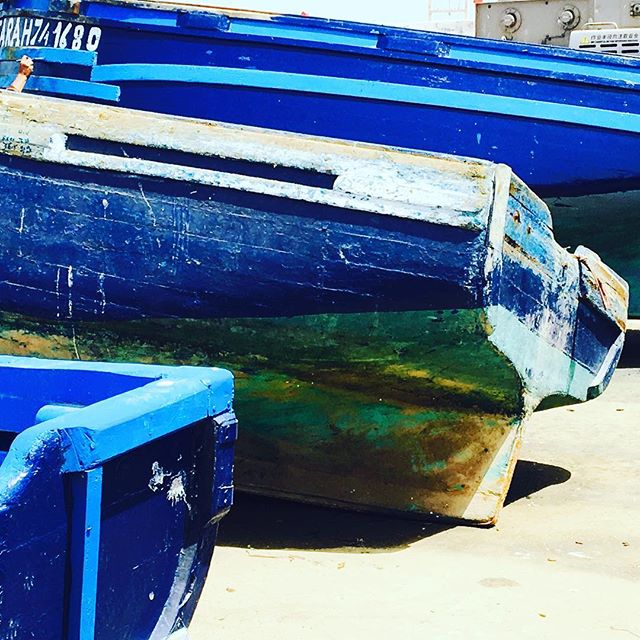 The famous blue fishing boats of Essaouria💙#tribecharms #startwithyourheart #adventuretogether