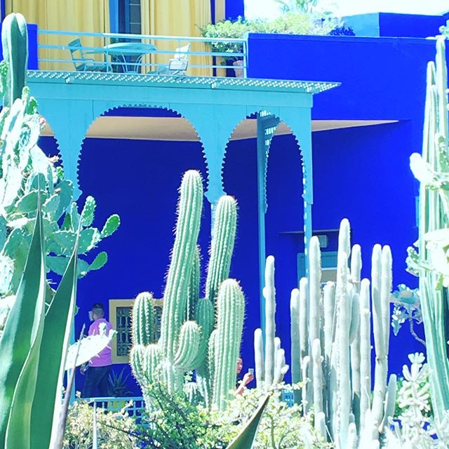 Enchanted garden + Majorelle blue 💙#tribecharms #startwithyourheart