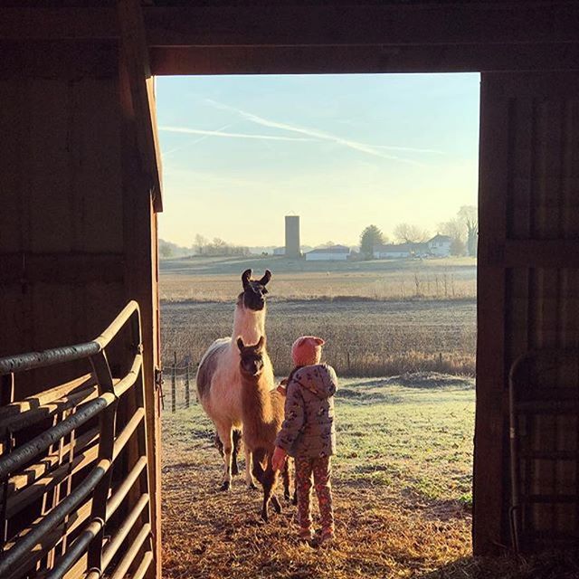 Savoring the moments; incredible shot @chloekz ❤️#tribecharms #startwithyourheart