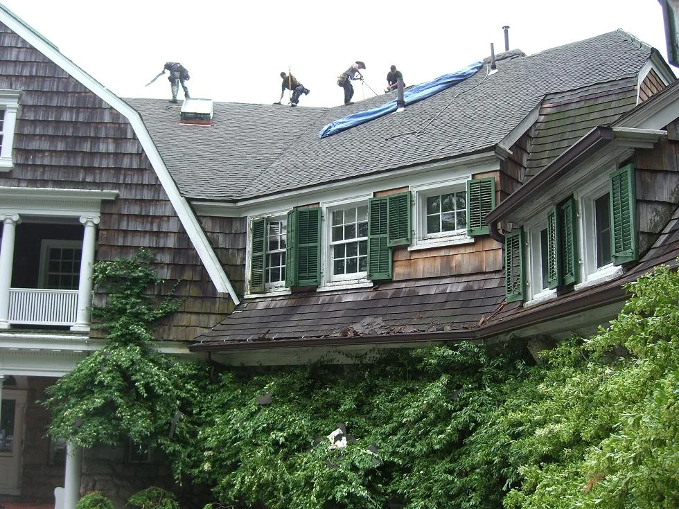 roof picture.JPG