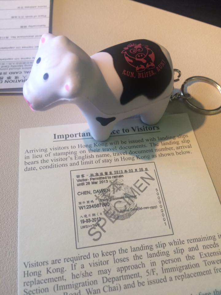 #heiferBelle and her specimen
