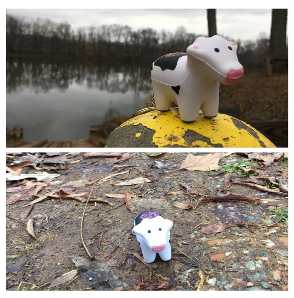 Frolicking on a trail hike with her human, Andy