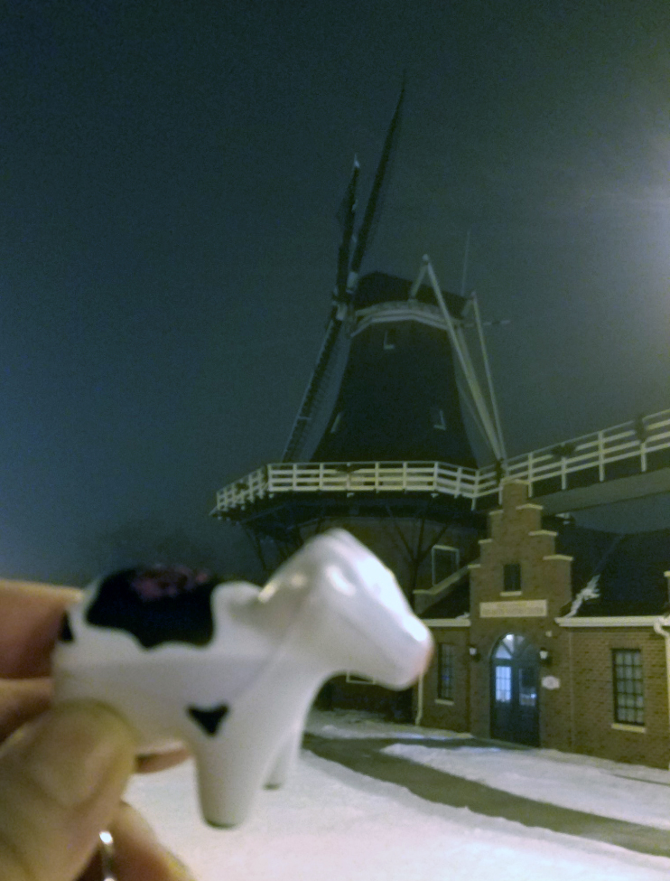 Renee's #heiferBelle went on a run this morning. In 22' wind chill..... BRRR!