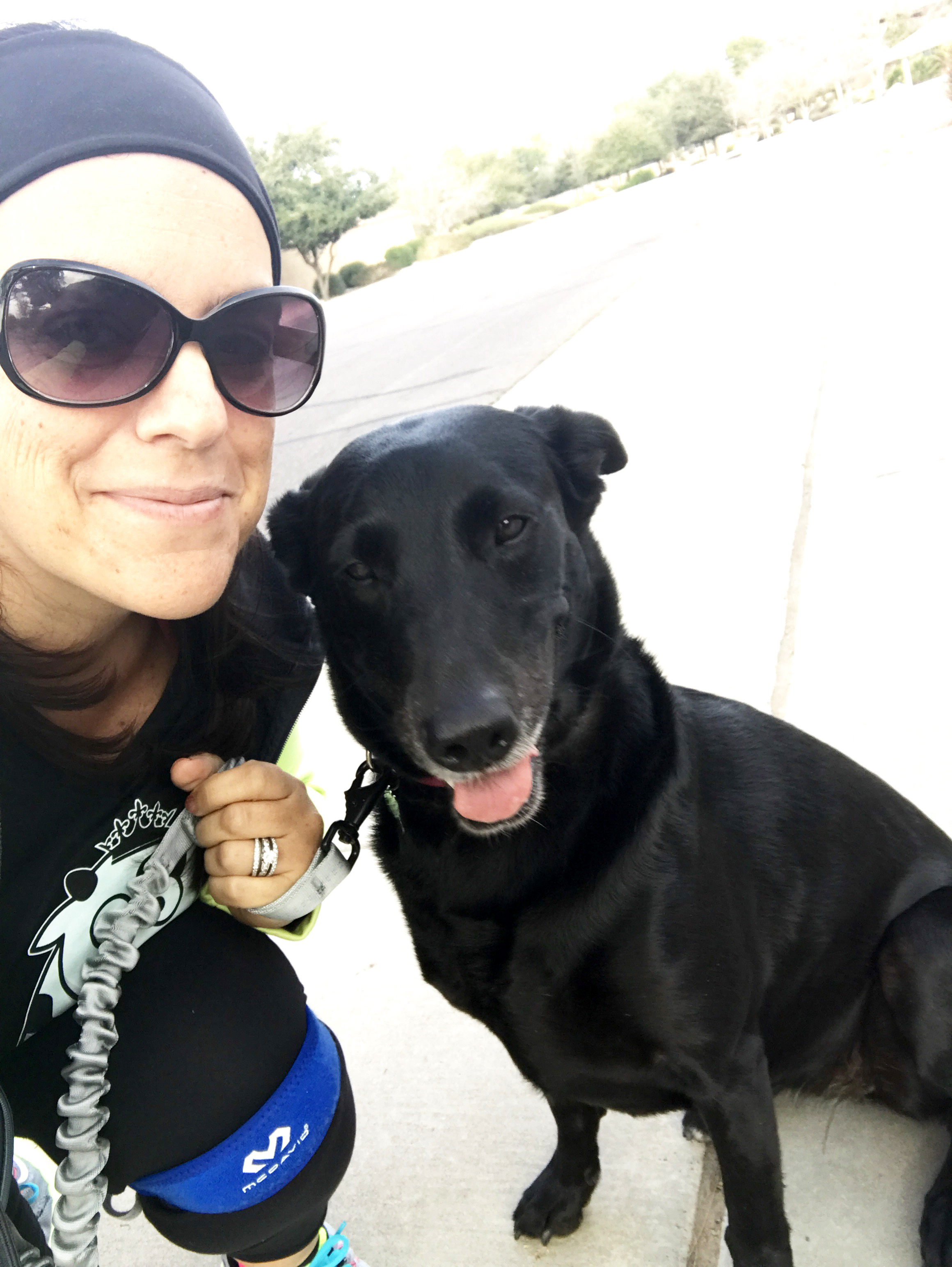 No more crazy days on a leash. We are all hooked up to our Stunt Puppy leash and will never go back to hand-held leashes again!
