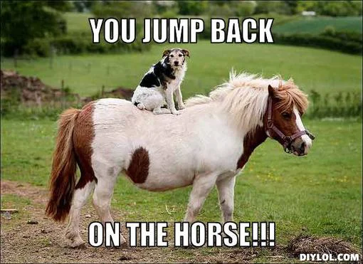 horse.jpg