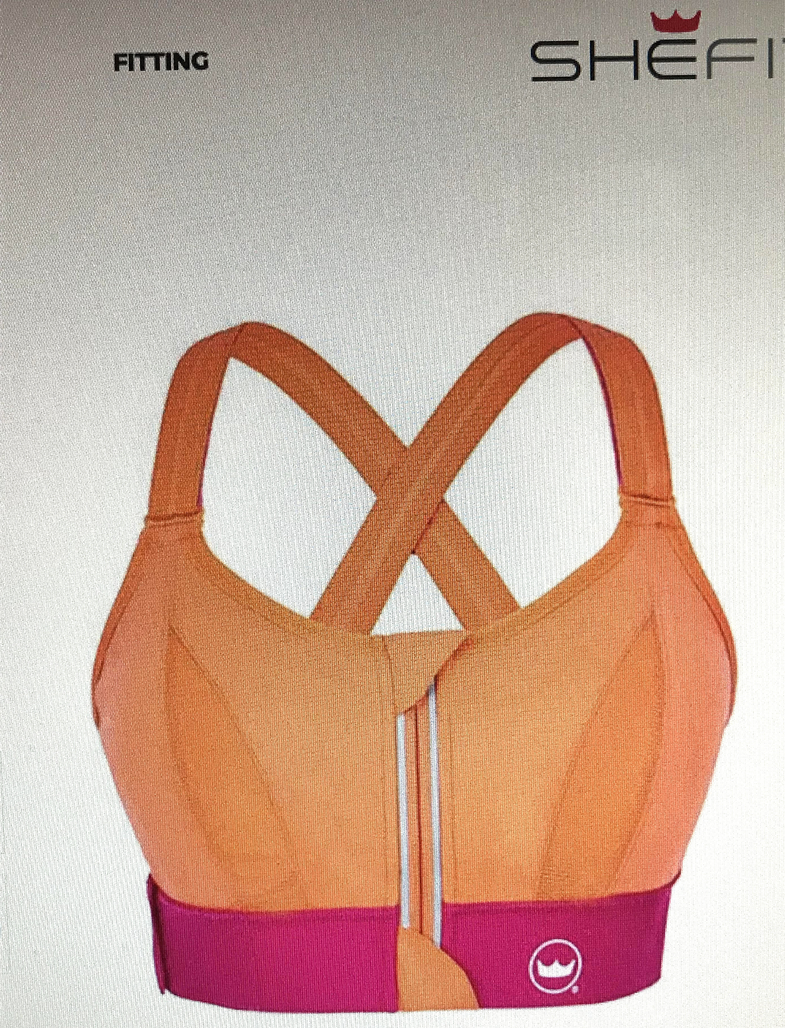 screen shots from their website