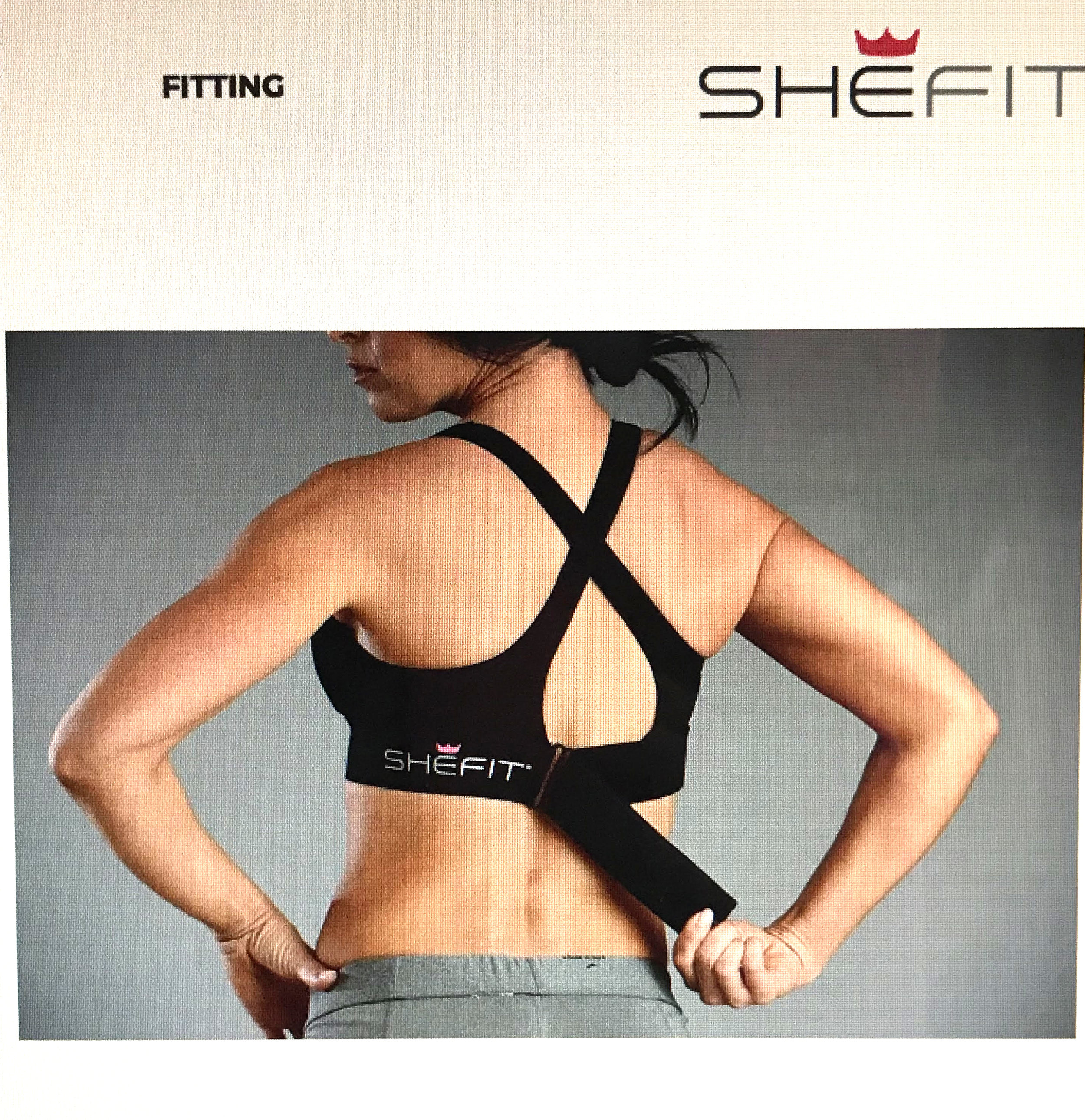 shefit net worth 2018