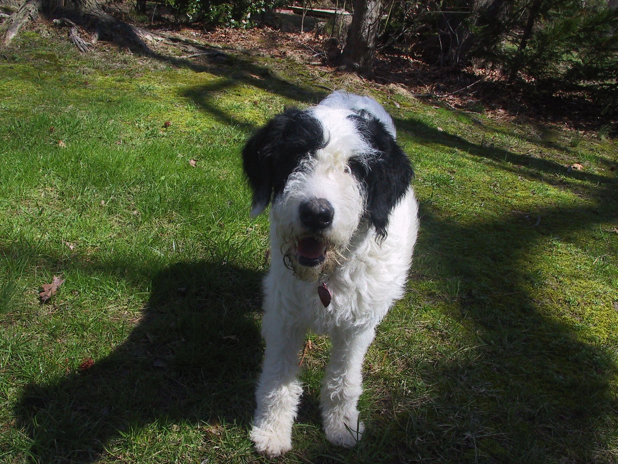 fully furnished home for rent mechanicsville, va