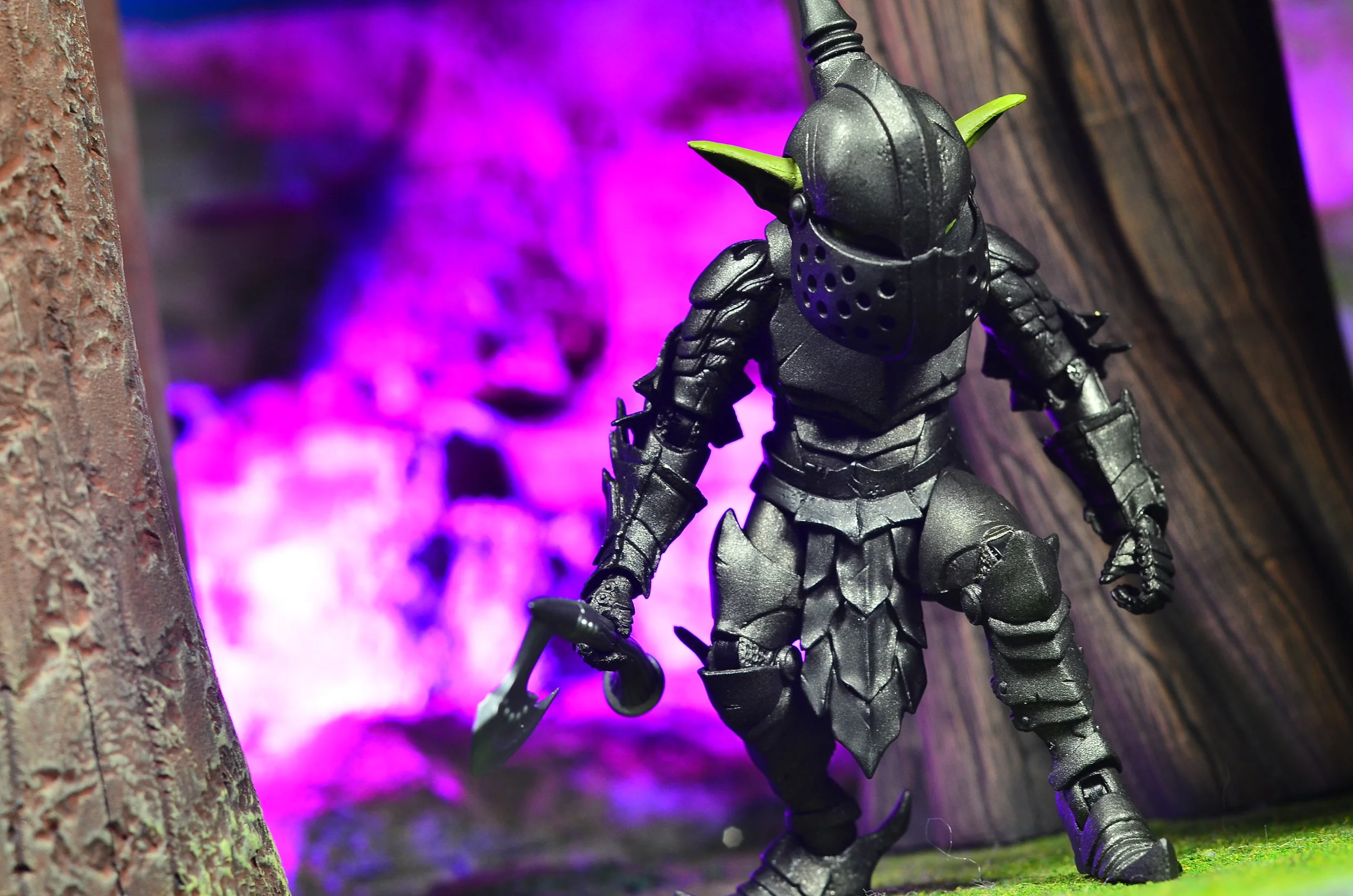 DSC_0667.JPG