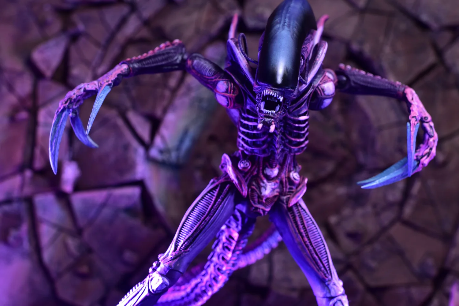 NECA Alien Vs Predator Arcade Razor Claw Alien — D Amazing