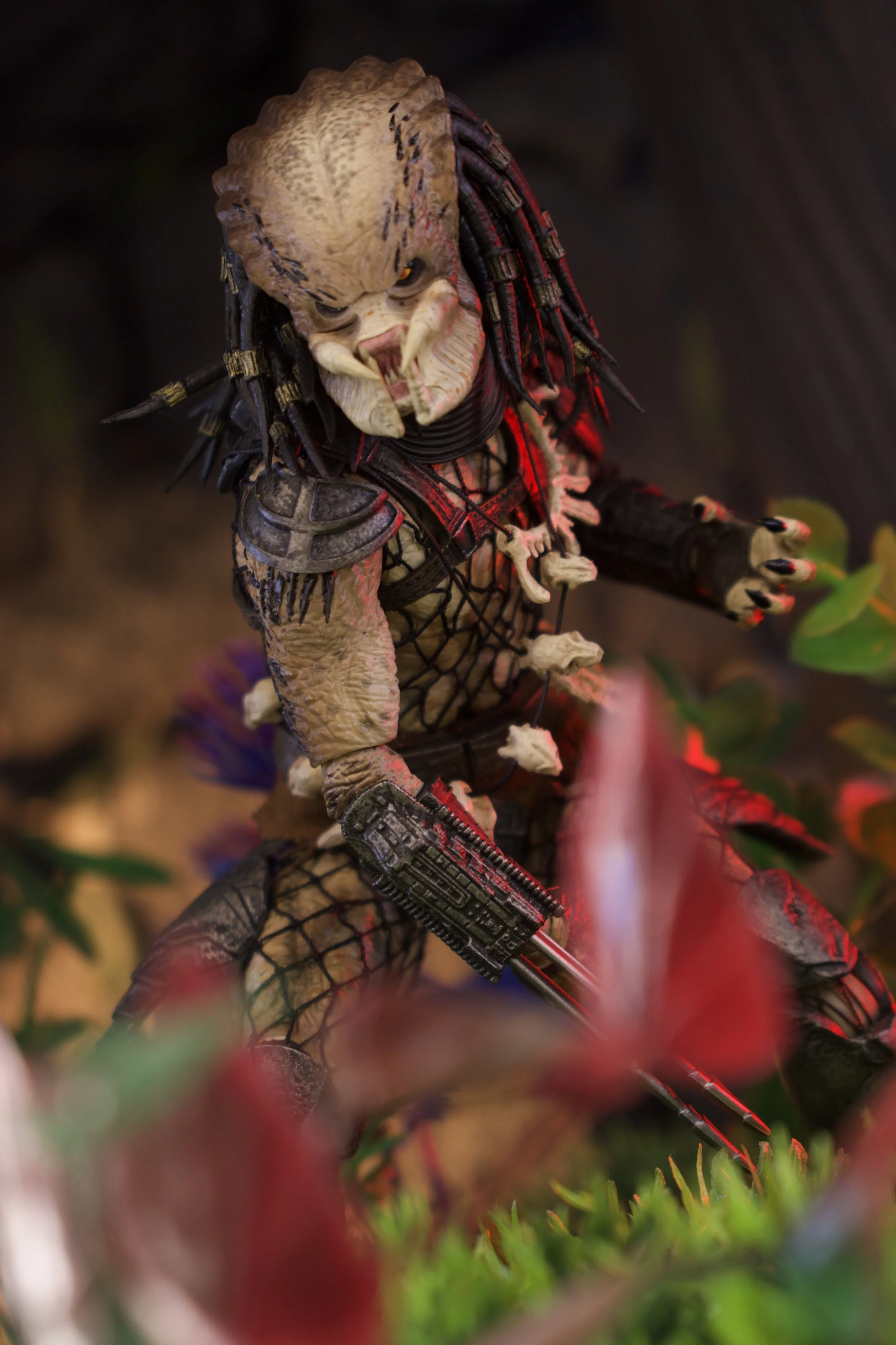 107B07DF-F422-4E4E-8FA8-413BDEB0895E_1_100_o.jpeg
